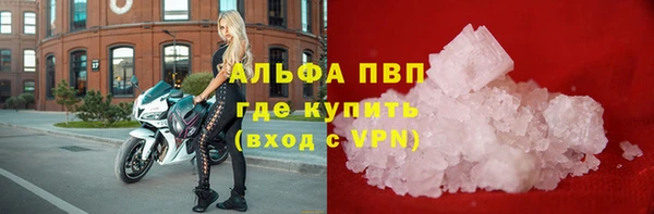 стафф Богородск