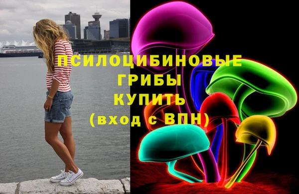 МДПВ Богданович