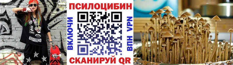Купить закладки  Терек  Галлюциногенные грибы GOLDEN TEACHER 